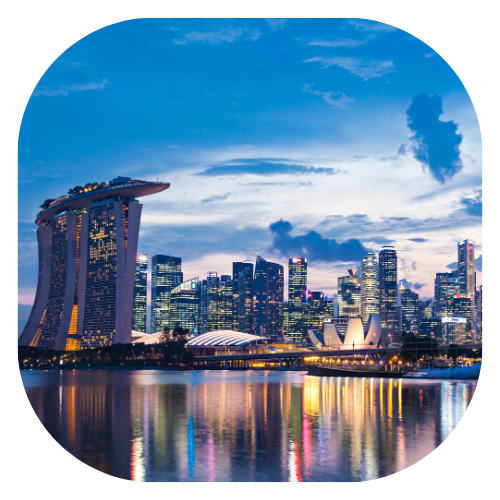 Picture of Singapore: icon for business immigration services by Sohrab Vazir